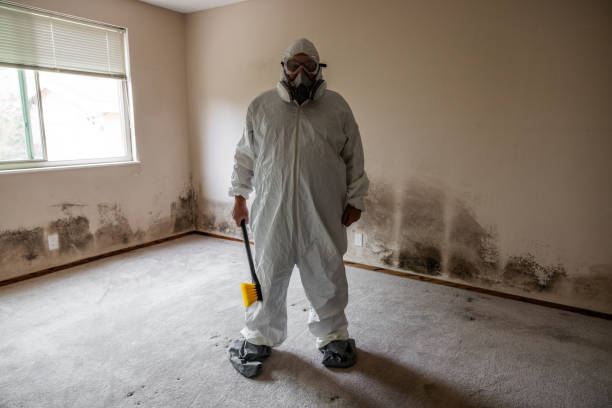 Best Post-Flood Mold Remediation in Brewster Hill, NY